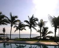 Doris E Shepherd, A Mobile Notary Service