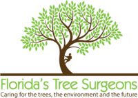 Florida's Tree Surgeons