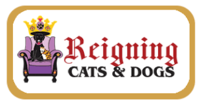 Reigning Cats and Dogs