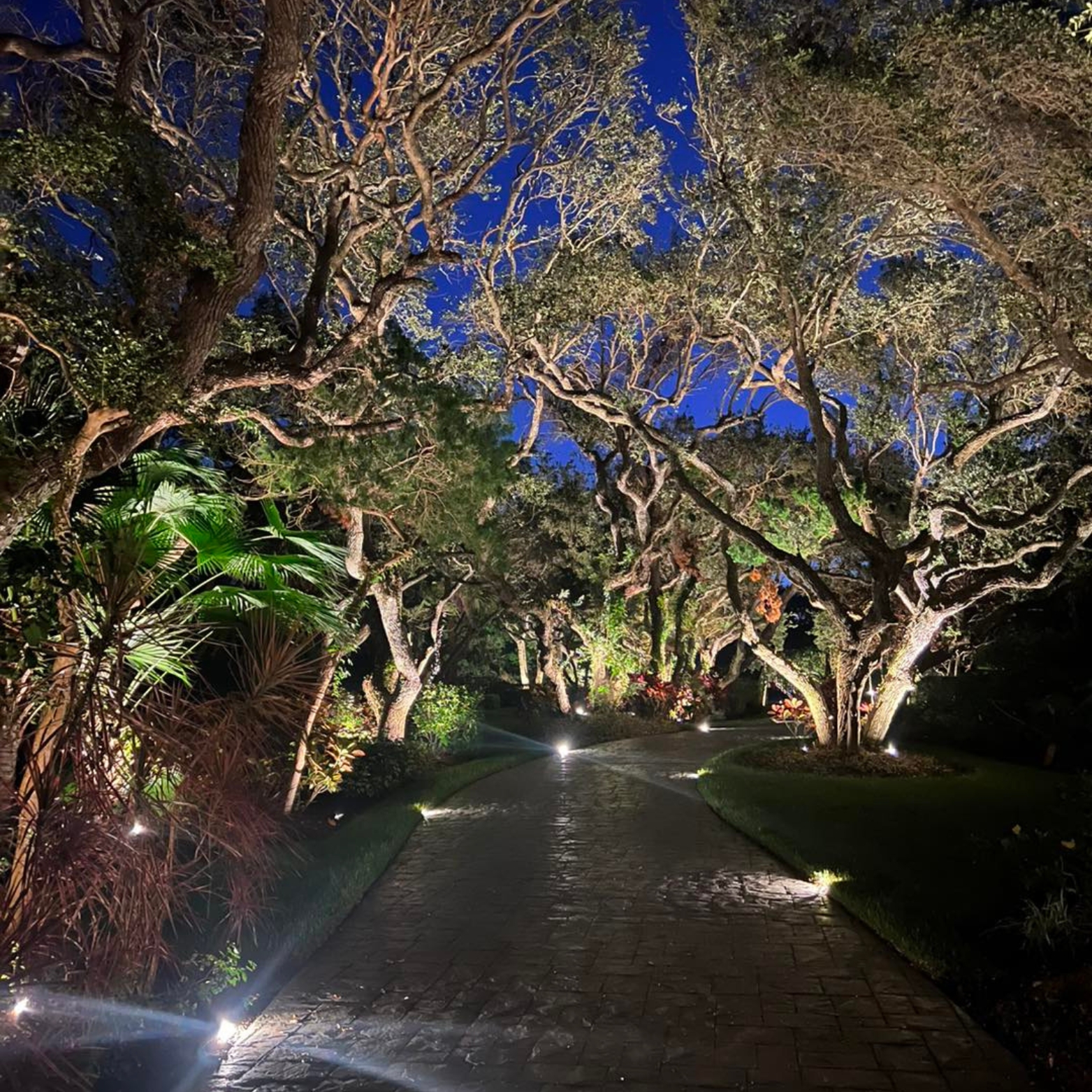 xr:d:DAFxvHBmRYo:3,j:4992646718106042833,t:23101920