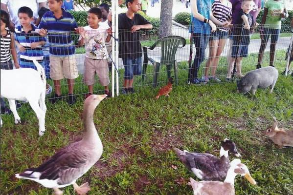 mobile-petting-zoo-in-port-orange-2172.jpg